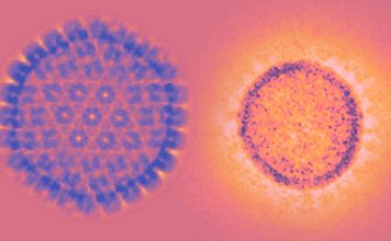 SARS-CoV-2 to immunosenescence and its relationship with Cytomegalovirus (CMV) infection