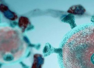 Severe COVID-19 patients had relatively lower Surfactant protein A (SP-A) levels