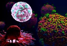 The role of gene SLC6A20 in cancer and COVID-19