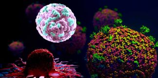 The role of gene SLC6A20 in cancer and COVID-19