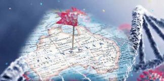 Covid-19 became Australia’s third leading cause of death in 2022