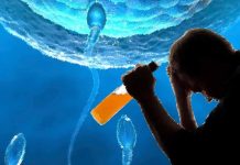 Potential effects of preconception alcohol use by fathers on fetal development