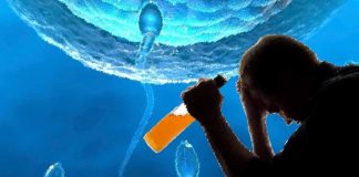 Potential effects of preconception alcohol use by fathers on fetal development