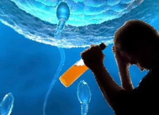 Potential effects of preconception alcohol use by fathers on fetal development