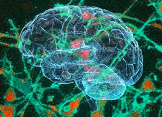 Neuropatologia: COVID-19 può comportare l’induzione della comparsa spontanea di prioni