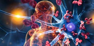 Autoimmune disorders affect 10.2% of the population