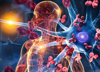 Autoimmune disorders affect 10.2% of the population