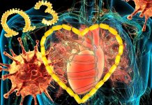 COVID-19: Potential Benefits of Omega-3 on Cardiovascular Health