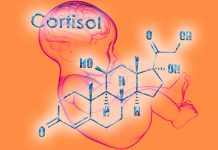 Association Between Maternal 3rd Trimester Cortisol and Early Language Development in Children – Impact of Covid-19 on cortisol