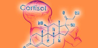 Association Between Maternal 3rd Trimester Cortisol and Early Language Development in Children – Impact of Covid-19 on cortisol
