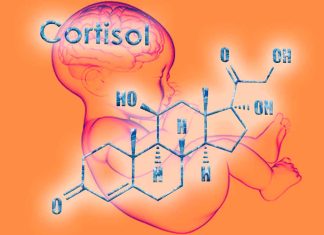 Association Between Maternal 3rd Trimester Cortisol and Early Language Development in Children – Impact of Covid-19 on cortisol