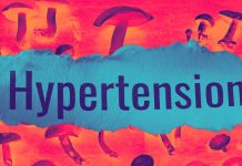 Edible Mushrooms and Their Bioactive Constituents in Ameliorating Hypertension