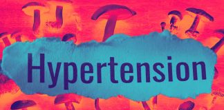Edible Mushrooms and Their Bioactive Constituents in Ameliorating Hypertension