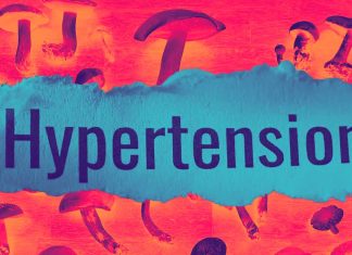 Edible Mushrooms and Their Bioactive Constituents in Ameliorating Hypertension