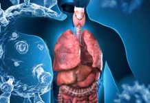 Ferroptosis and its Association with Multi-Organ Complications in COVID-19