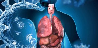 Ferroptosis and its Association with Multi-Organ Complications in COVID-19
