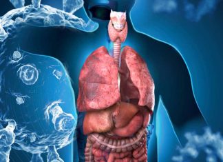 Ferroptosis and its Association with Multi-Organ Complications in COVID-19