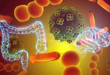Genetic Correlation Reveals Link Between Gut Microbiota and Alzheimer’s Disease