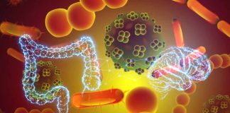 Genetic Correlation Reveals Link Between Gut Microbiota and Alzheimer’s Disease