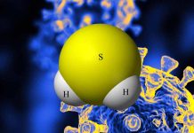 Hydrogen Sulfide as a Potential Therapeutic Approach for Lung Endothelial Barrier Dysfunction in COVID-19