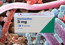 Ivermectin-induced bacterial gut dysbiosis exacerbates liver damage