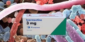 Ivermectin-induced bacterial gut dysbiosis exacerbates liver damage