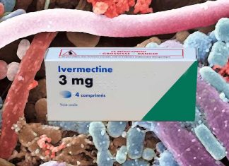 Ivermectin-induced bacterial gut dysbiosis exacerbates liver damage
