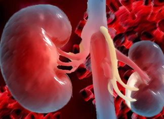 Kidney Involvement in Patients with the Omicron Variant of COVID-19