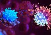 Long-COVID e rischio di malattie autoimmuni