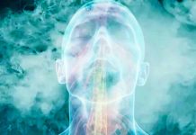 Menthol Aroma as a Therapeutic Agent for Improving Cognitive Abilities in Alzheimer’s