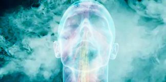 Menthol Aroma as a Therapeutic Agent for Improving Cognitive Abilities in Alzheimer’s
