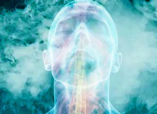 Menthol Aroma as a Therapeutic Agent for Improving Cognitive Abilities in Alzheimer’s