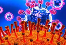 The Impact of SARS-CoV-2 E and M Proteins On Host Cell Calcium Homeostasis And ER-Mitochondria Interactions