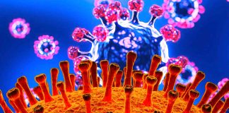 The Impact of SARS-CoV-2 E and M Proteins On Host Cell Calcium Homeostasis And ER-Mitochondria Interactions
