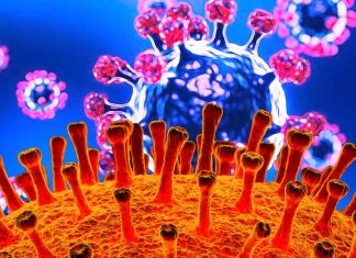 The Impact of SARS-CoV-2 E and M Proteins On Host Cell Calcium Homeostasis And ER-Mitochondria Interactions