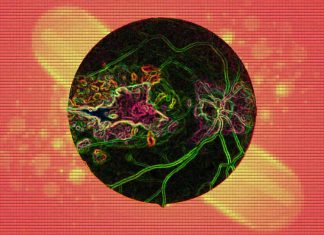 Stress resilience-enhancing drugs (SREDs) have emerged as a promising class of therapeutics for retinopathies