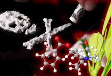 The Rising Cocaine Use Disorder