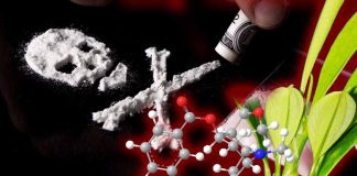 The Rising Cocaine Use Disorder