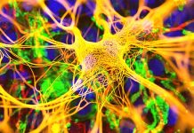 Understanding Relapsing Multiple Sclerosis: Symptoms, Causes, and Treatment Options