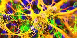 Understanding Relapsing Multiple Sclerosis: Symptoms, Causes, and Treatment Options