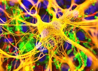 Understanding Relapsing Multiple Sclerosis: Symptoms, Causes, and Treatment Options
