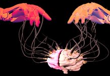 Il legame tra il declino della funzione cognitiva e l’uso dell’intelligenza artificiale da parte degli esseri umani – AI Vs Human – Cosa riserva il futuro?