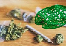 Researchers have found a strong association between cannabis use disorder and schizophrenia