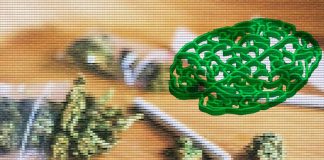 Researchers have found a strong association between cannabis use disorder and schizophrenia
