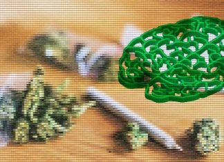 Researchers have found a strong association between cannabis use disorder and schizophrenia