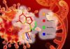 Il farmaco antivirale Acyclovir può inibire le proteasi virali, l’espressione di più geni virali e la RNA polimerasi RNA-dipendente, aiutando a guarire i pazienti COVID-19