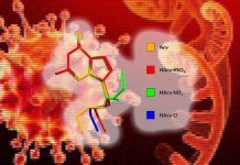 Il farmaco antivirale Acyclovir può inibire le proteasi virali, l’espressione di più geni virali e la RNA polimerasi RNA-dipendente, aiutando a guarire i pazienti COVID-19