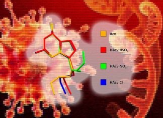 Il farmaco antivirale Acyclovir può inibire le proteasi virali, l’espressione di più geni virali e la RNA polimerasi RNA-dipendente, aiutando a guarire i pazienti COVID-19