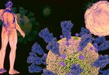 Persistent Immunological Dysfunction: A Key Feature of Post-Acute Sequelae of SARS-CoV-2 Infection
