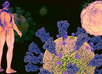 Persistent Immunological Dysfunction: A Key Feature of Post-Acute Sequelae of SARS-CoV-2 Infection